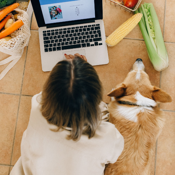 Dog eating